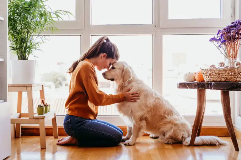 Mascotas: ¿Están realmente asociadas con la verdadera felicidad?