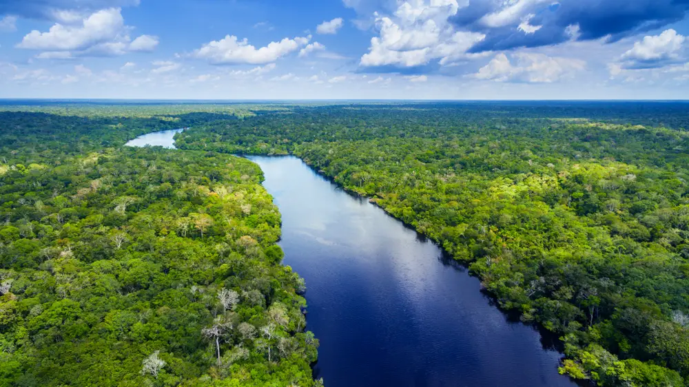 Amazonia - ¿Los "pulmones" de la Tierra mueren tarde sin volver?