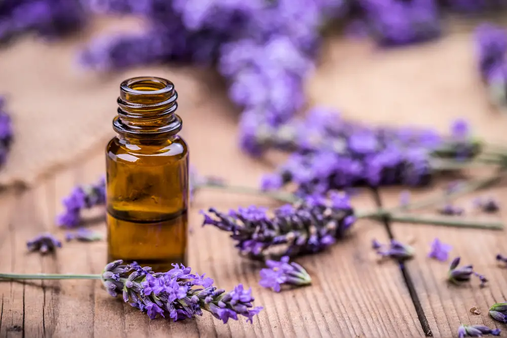 Aceite esencial de lavanda: Sus propiedades beneficiosas para la piel y el cabello