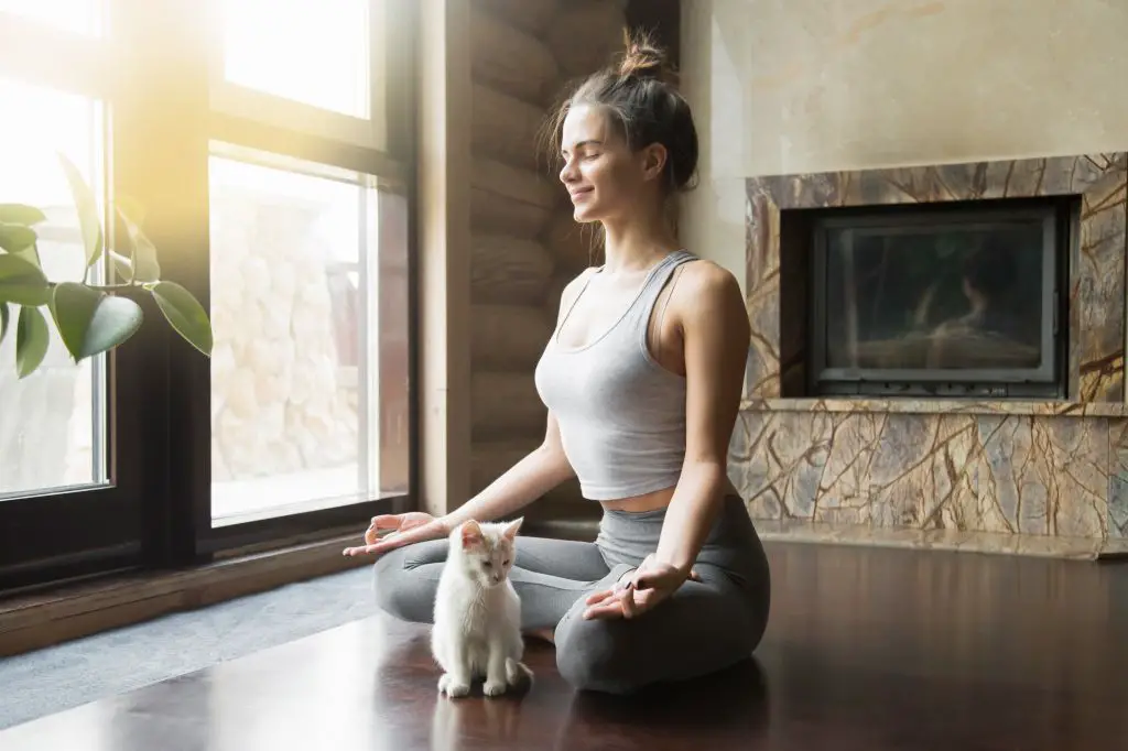 Yoga: Las posturas que alivian el dolor de espalda