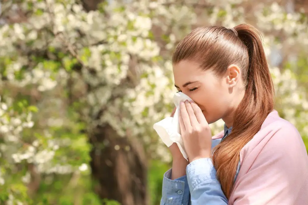 Cómo aliviar las alergias
